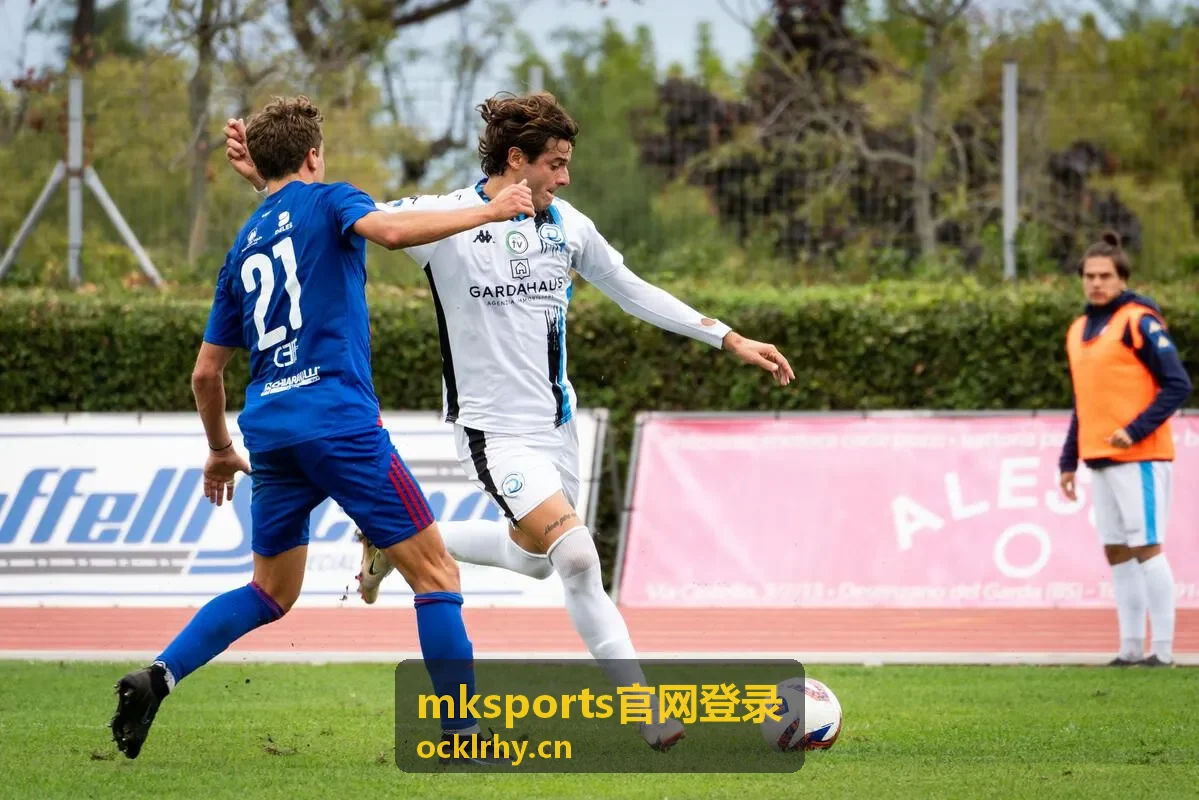 mksports官网登录 密码重置流程配图