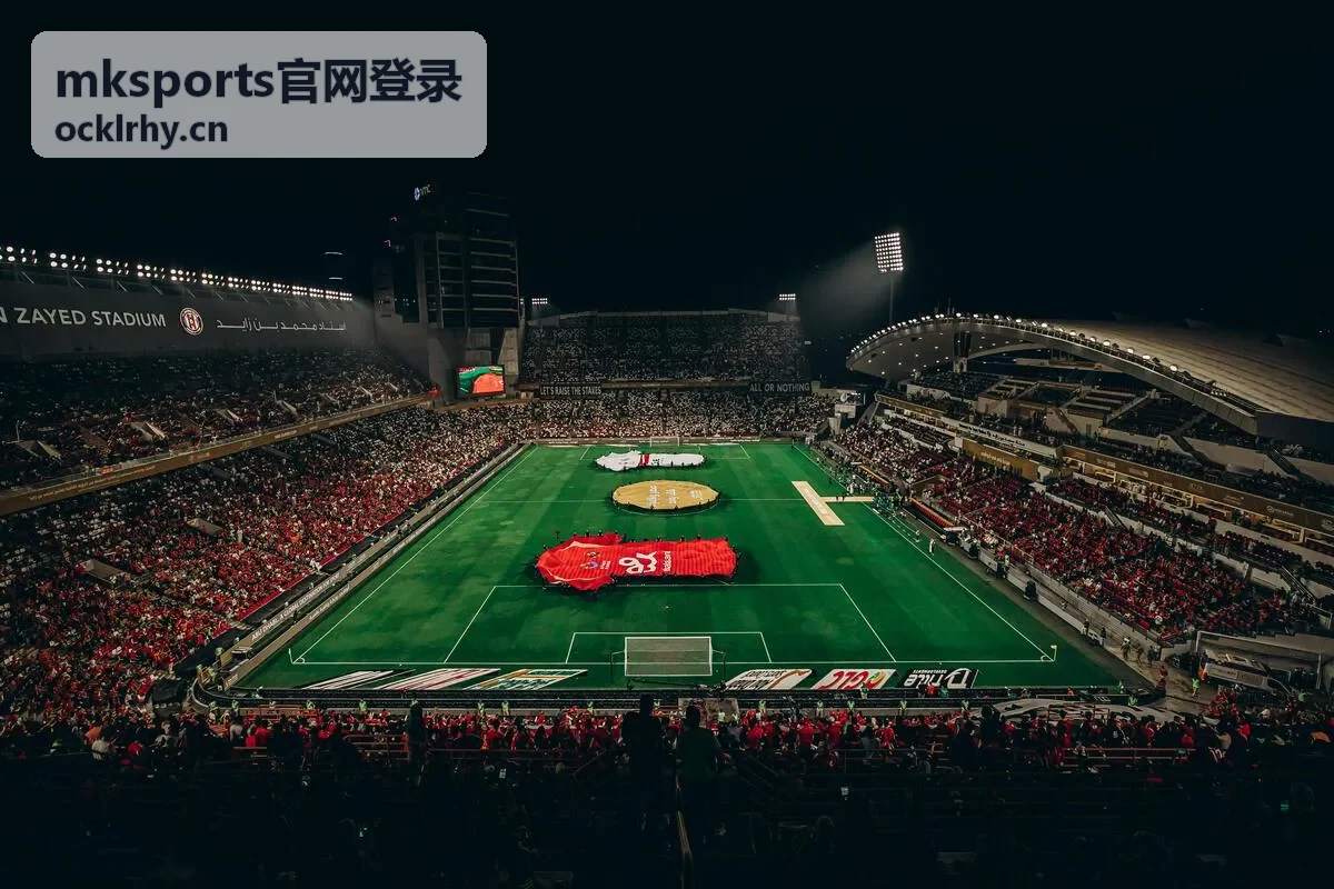 mksports官网登录 验证方式选择界面示意