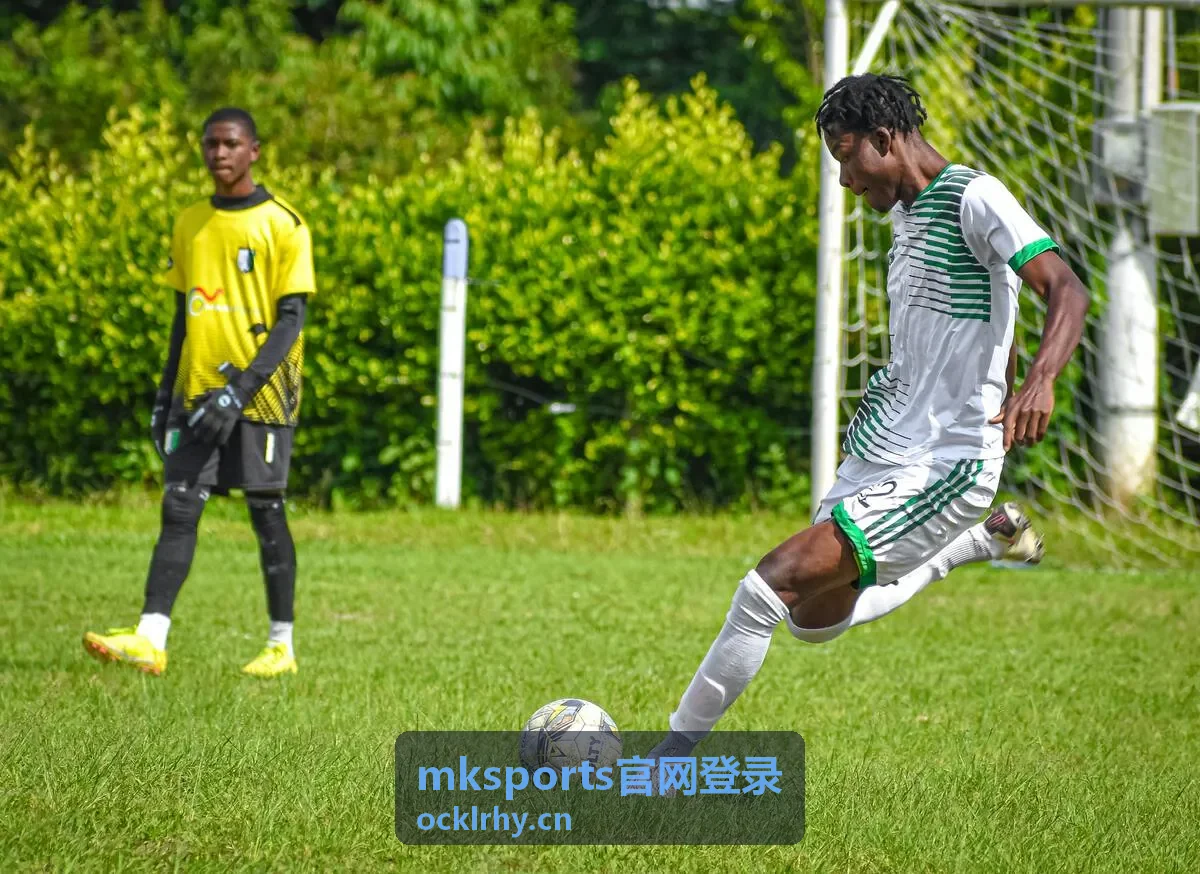 mksports官网登录 常用登录设备列表核对配图